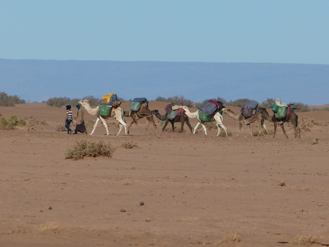 dunes du Chgaga
