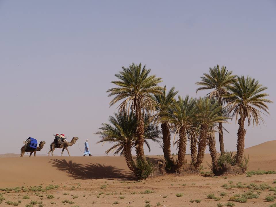 Dunes de rêves