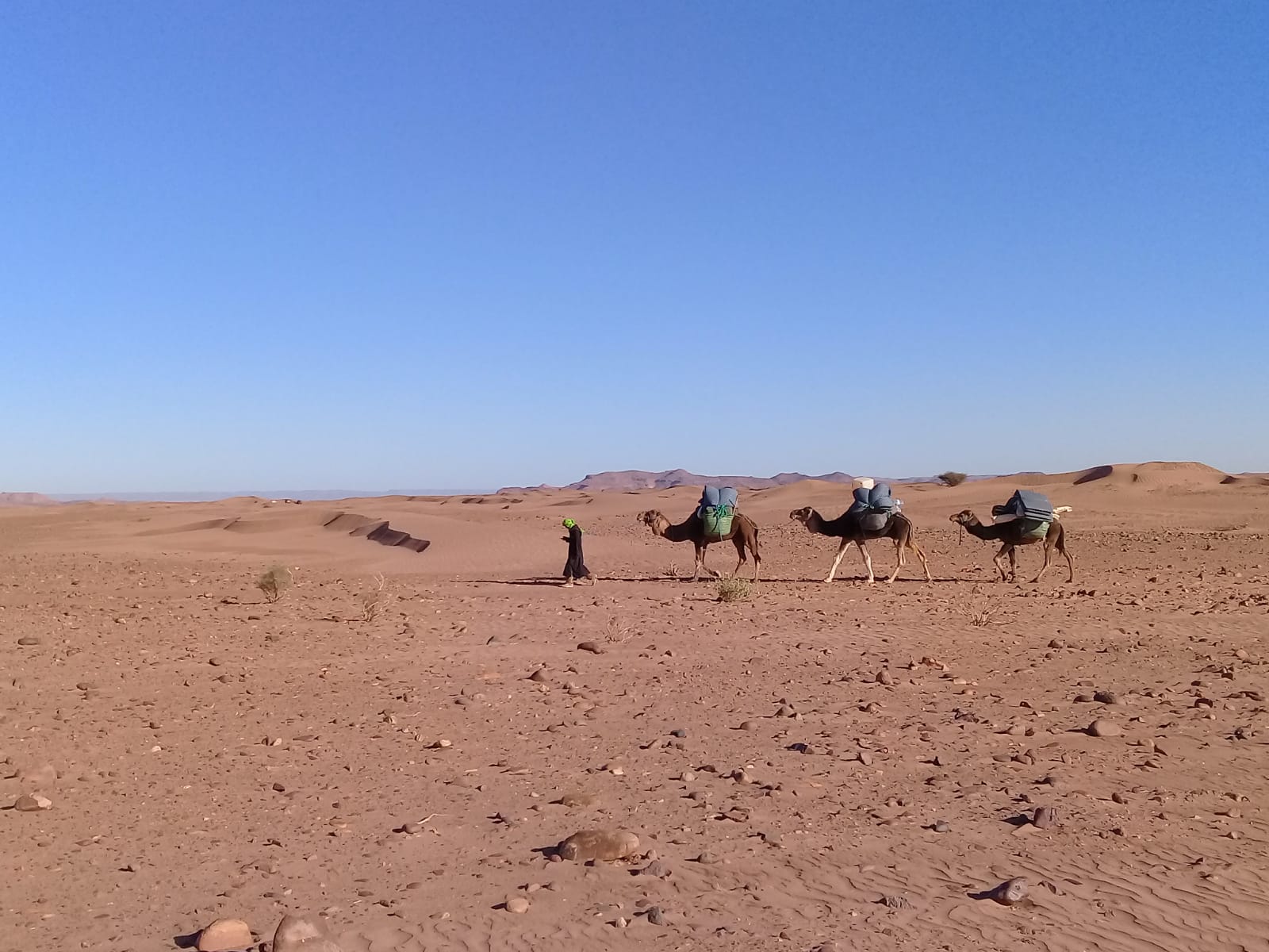 petites dunes du Draa